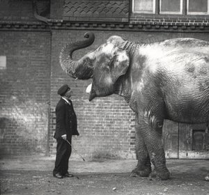 Un guardiano, Charles Eyles, con Suffa Culli (